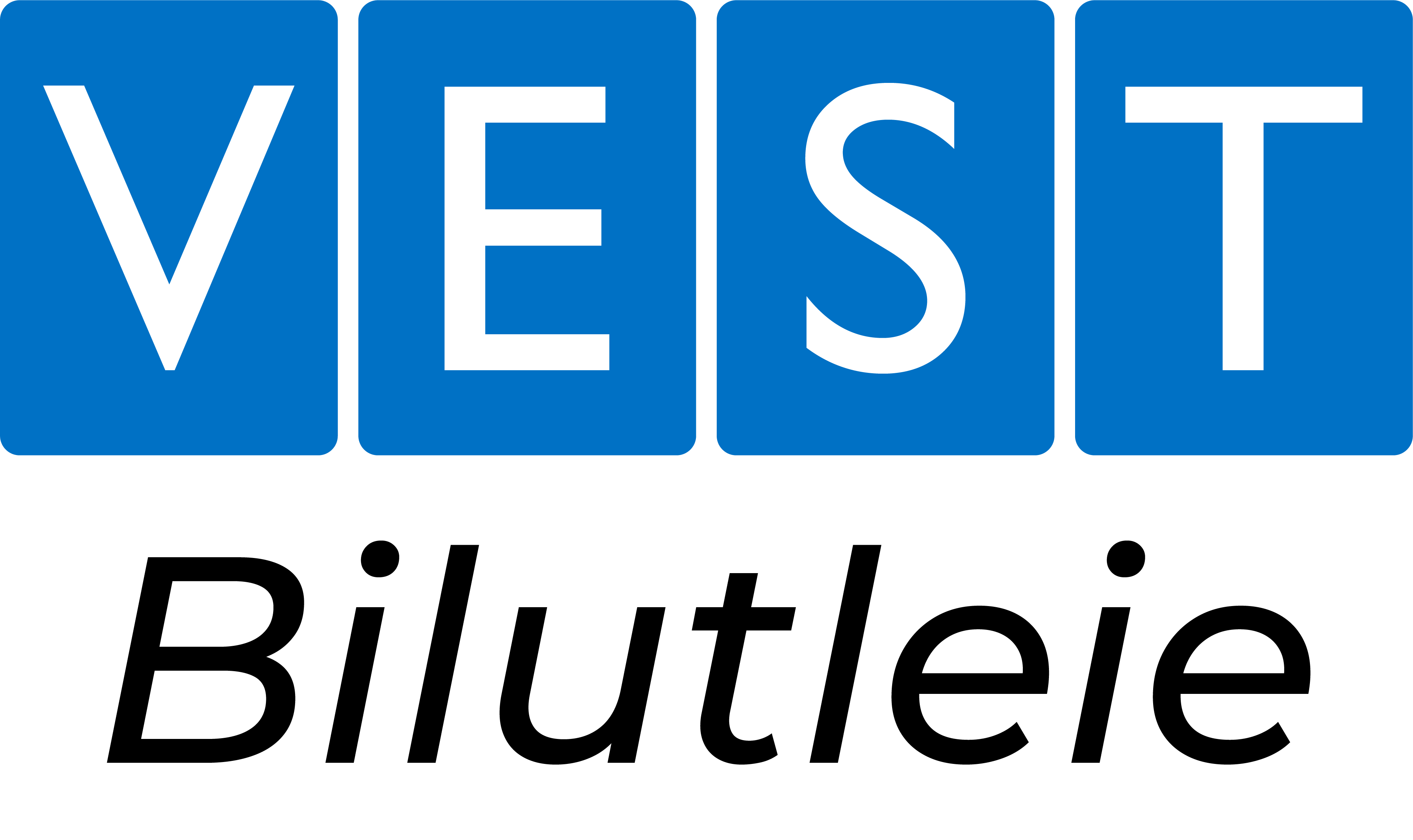 Vest Bilutleie Logo